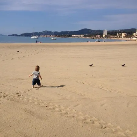 公寓 Coquet Au Lavandou Avec Parking Proche - Fr-1-251-299 *