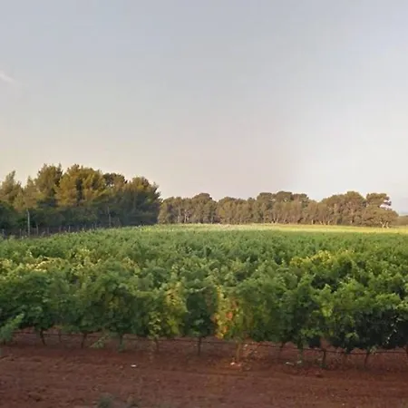 Le Lavandou, 1 Pièce, 4 Personnes - Fr-1-251-299 Appartement