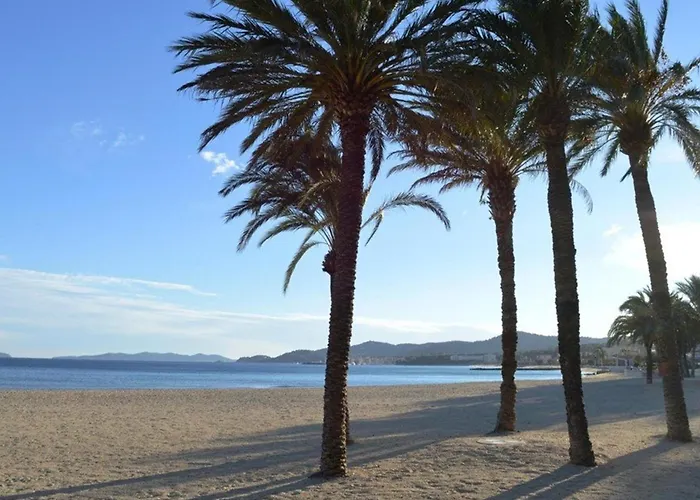 Appartement Le Lavandou, 1 Pièce, 4 Personnes - Fr-1-251-299