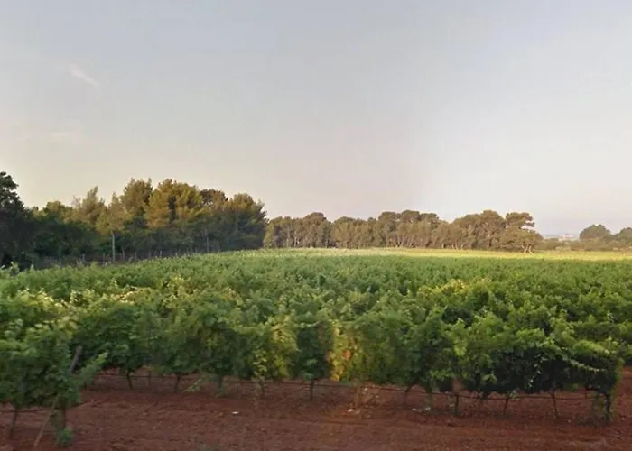 Le Lavandou, 1 Pièce, 4 Personnes - Fr-1-251-299 Appartement