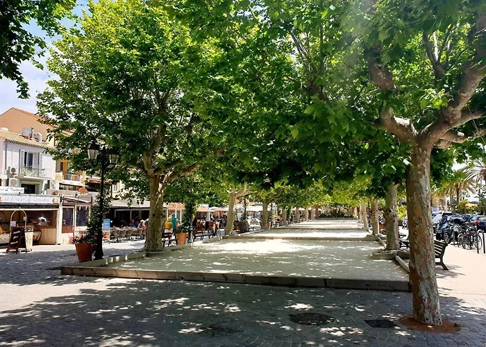 Le Lavandou, 1 Pièce, 4 Personnes - Fr-1-251-299 * Le Lavandou